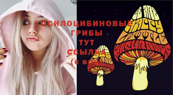 спиды Мегион