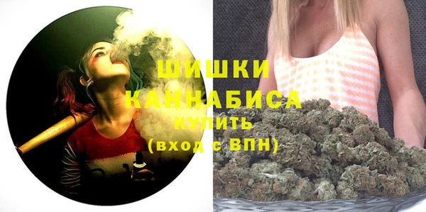 спиды Мегион