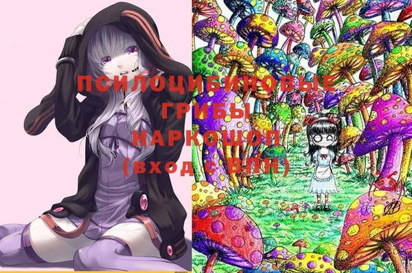 спиды Мегион