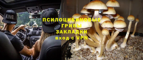 спиды Мегион