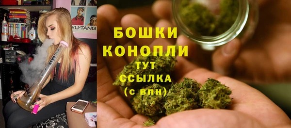 спиды Мегион